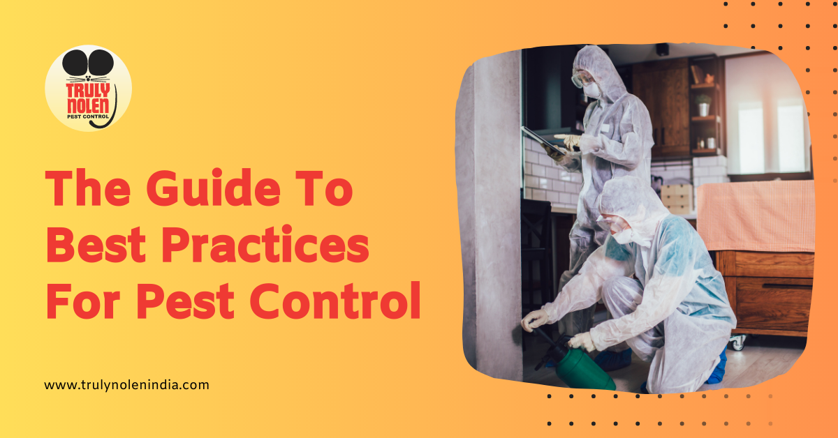 The Guide To Best Practices For Pest Control