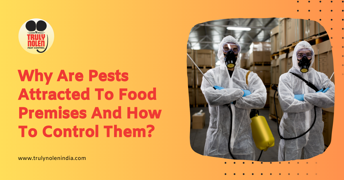 Why Are Pests Attracted To Food Premises And How To Control Them?
