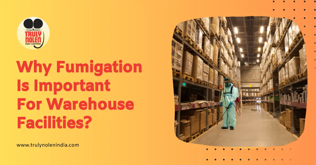 Why Fumigation Is Important For Warehouse Facilities?