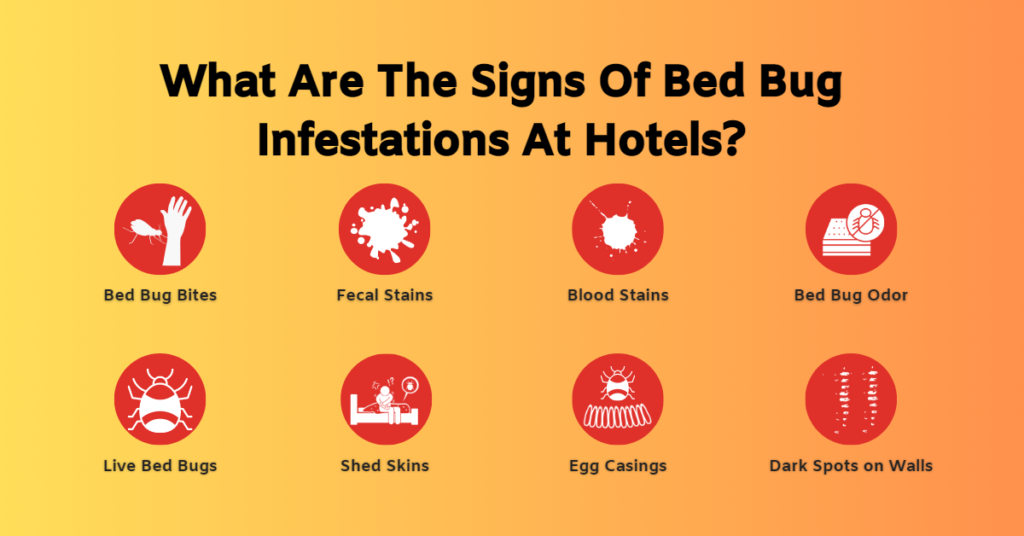 How Do Hotels Prevent Bed Bugs? Truly Blog