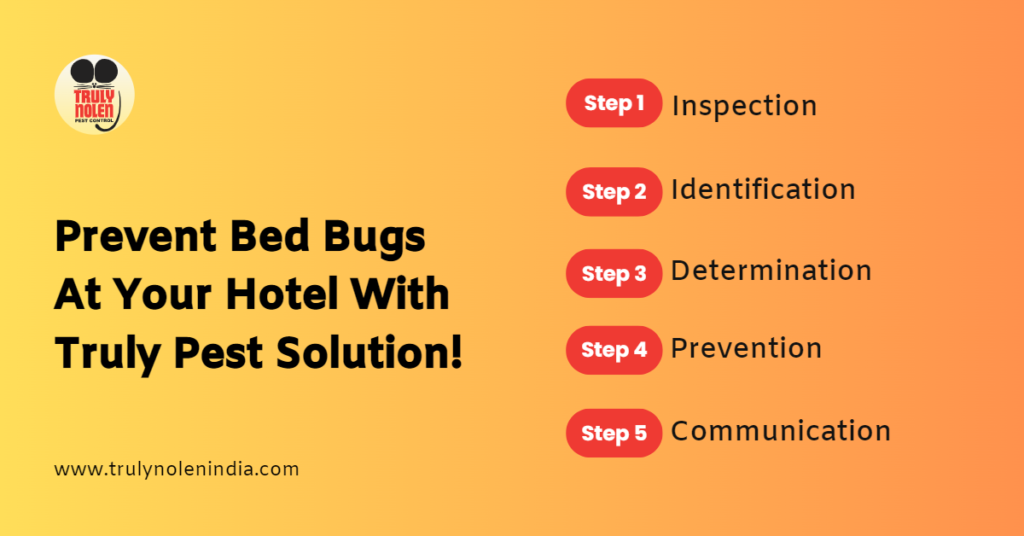 How Do Hotels Prevent Bed Bugs? - Truly Blog