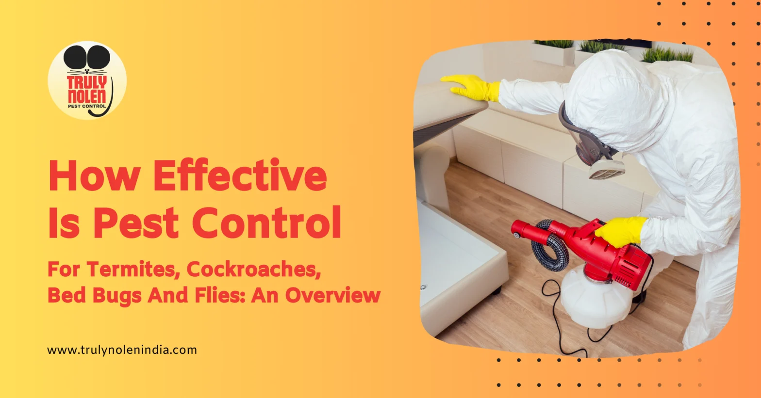 How Effective Is Pest Control For Termites, Cockroaches, Bed Bugs And Flies: An Overview