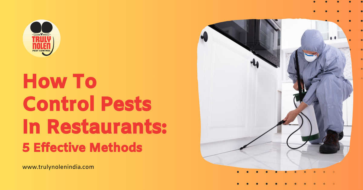 How To Control Pests In Restaurants: 5 Effective Methods