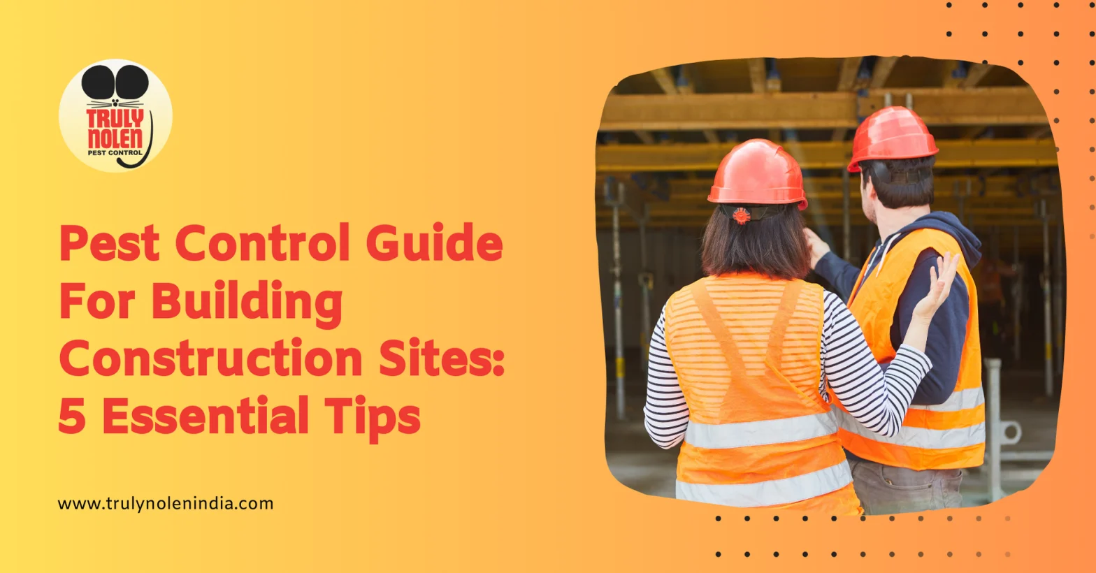 Pest Control Guide For Building Construction Sites: 5 Essential Tips