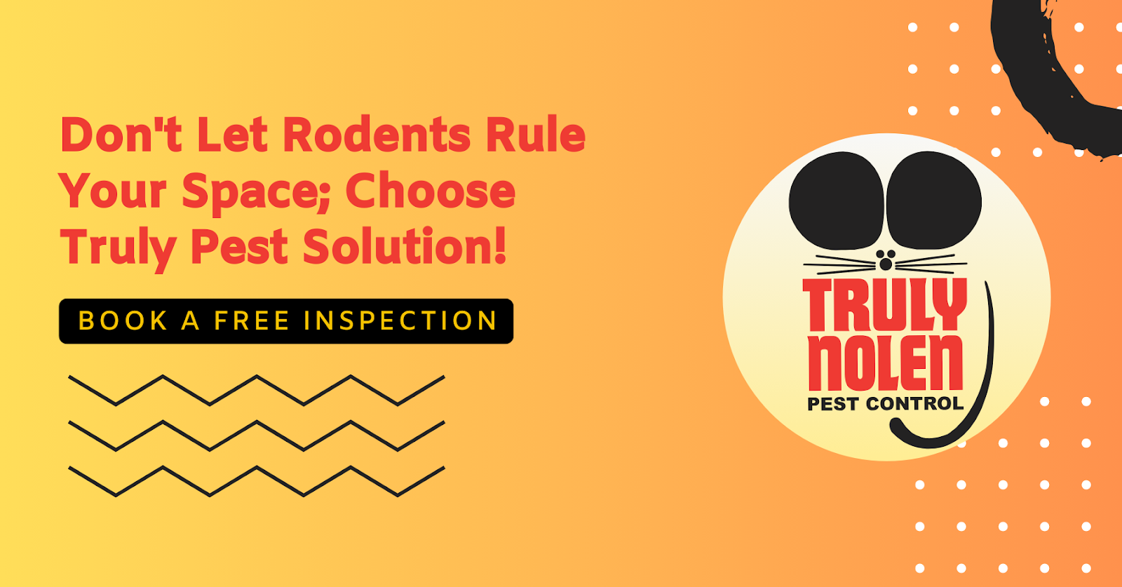 Don't Let Rodents Rule Your Space; Choose Truly Pest Solution!