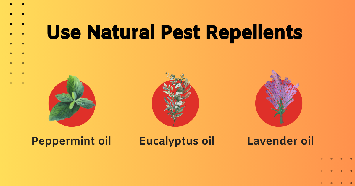 Use Natural Pest Repellents