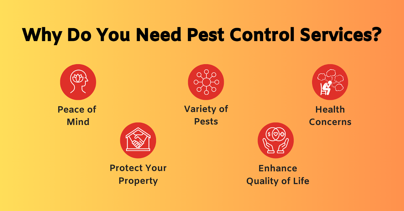 Why Do You Need Pest Control Services