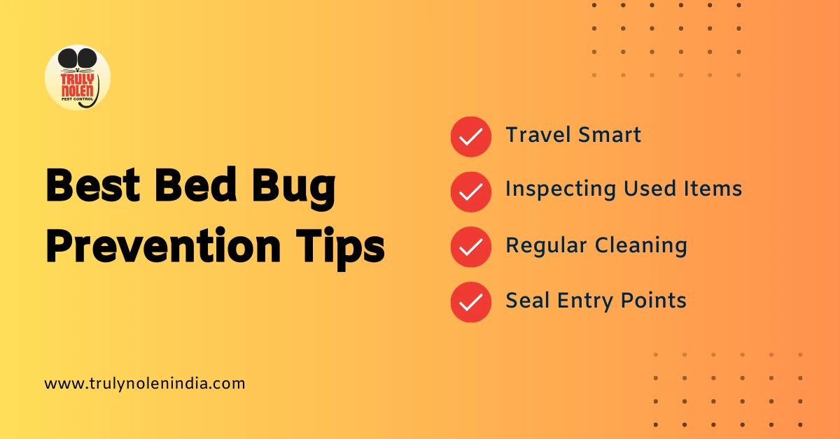 Best Bed Bug Prevention Tips