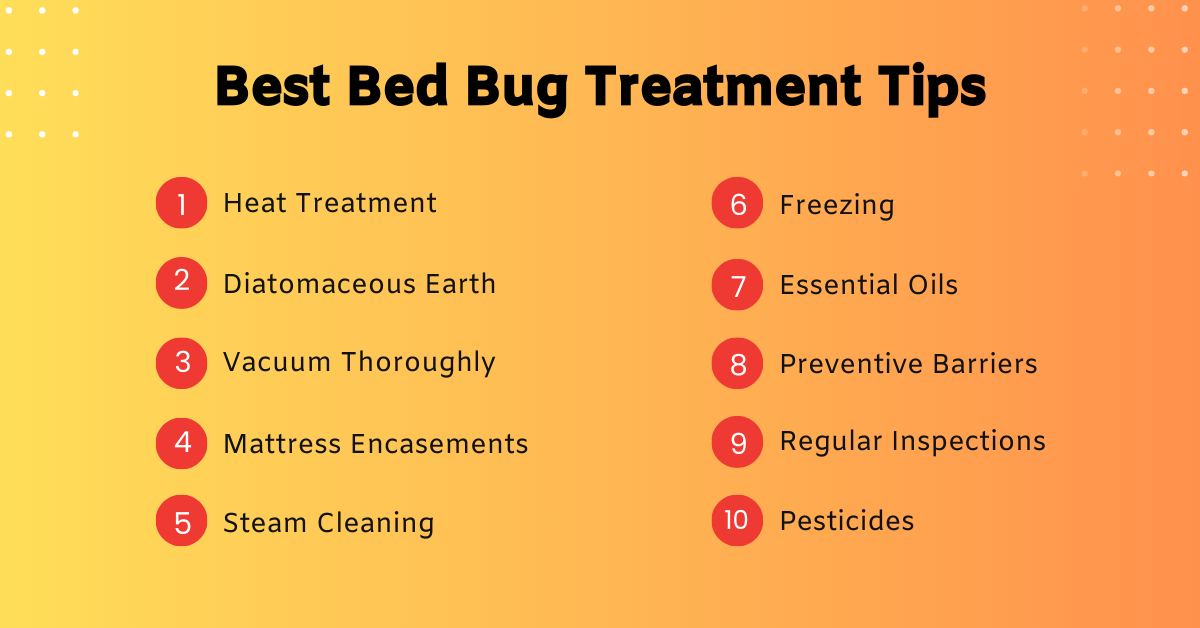 Bed bug treatment tips infographic