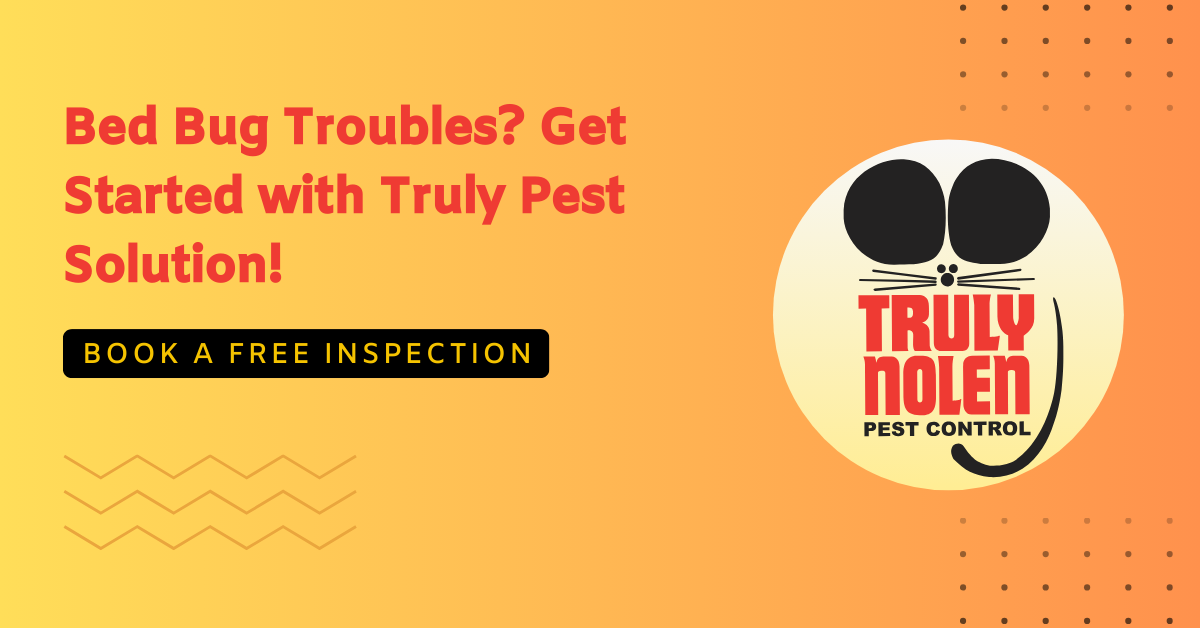 Bed Bug Troubles Get Started with Truly Pest Solution!