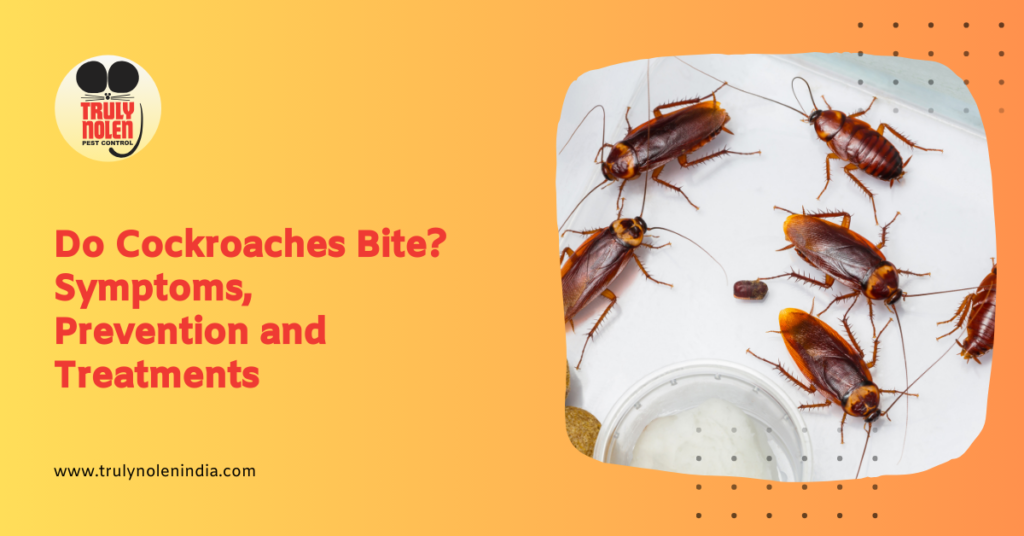 Do Cockroaches Bite Symptoms Prevention And Treatments Truly Blog