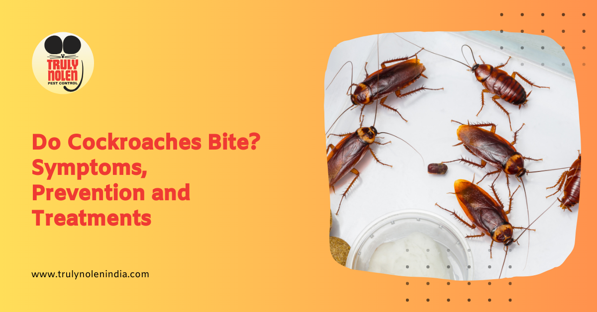 Do Cockroaches Bite? Symptoms, Prevention and Treatments