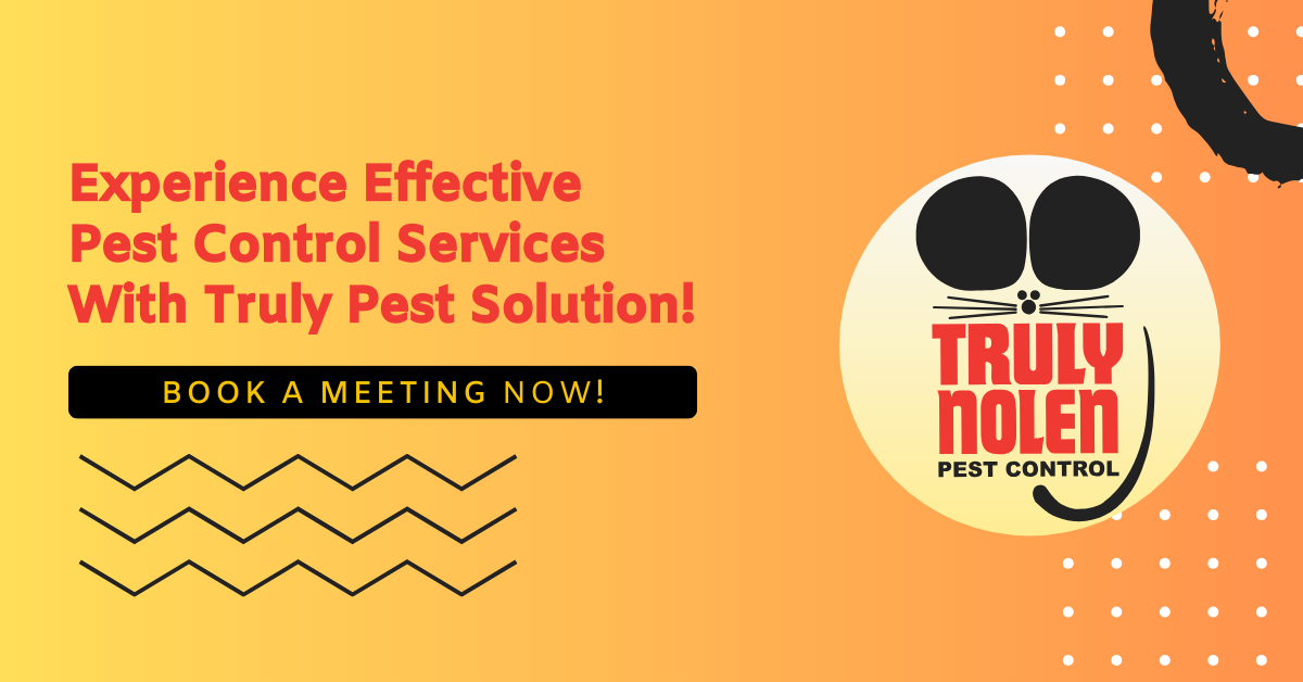 Experience Effective Pest Control Services With Truly Pest Solution!