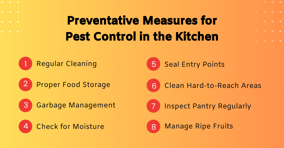 Preventative Measures for Pest Control in the Kitchen