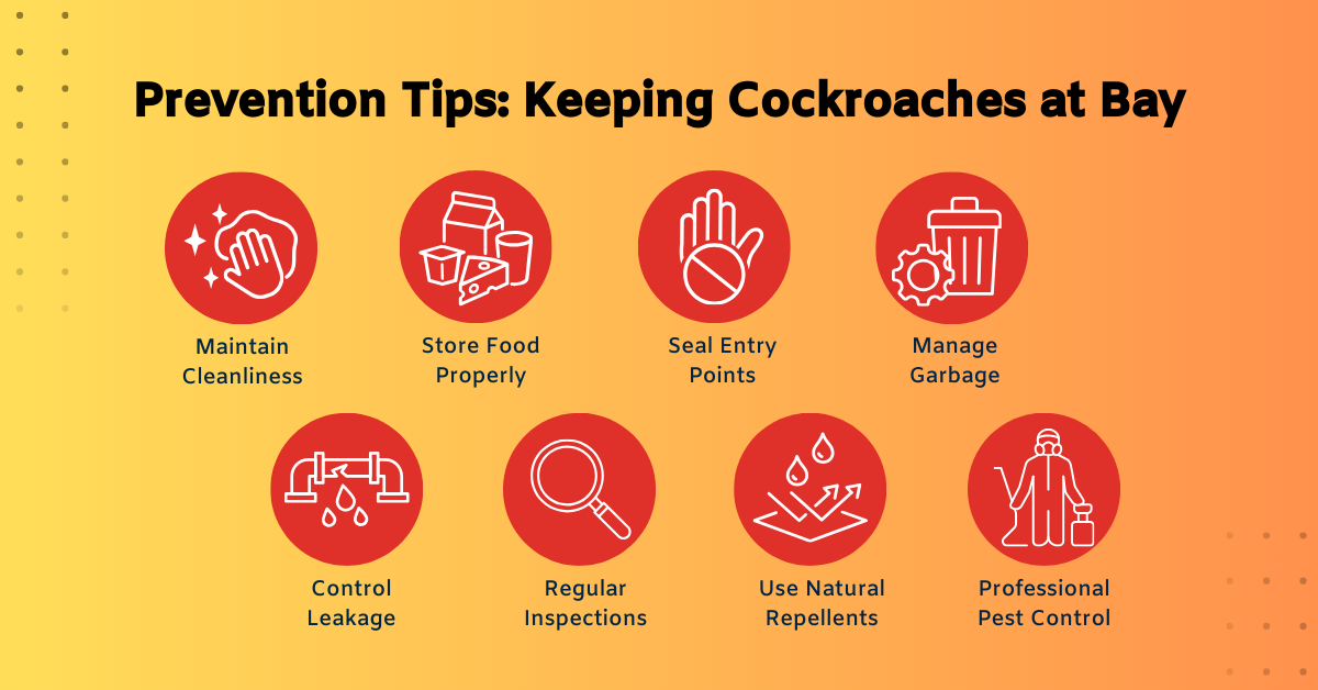 Prevention Tips Keeping Cockroaches at Bay
