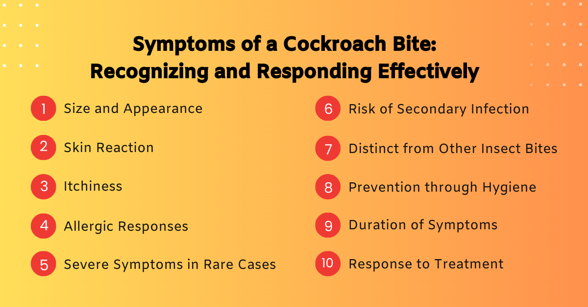 Symptoms of a Cockroach Bite Recognizing and Responding Effectively