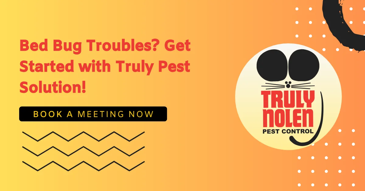 Bed Bug Troubles_ Get Started with Truly Pest Solution!