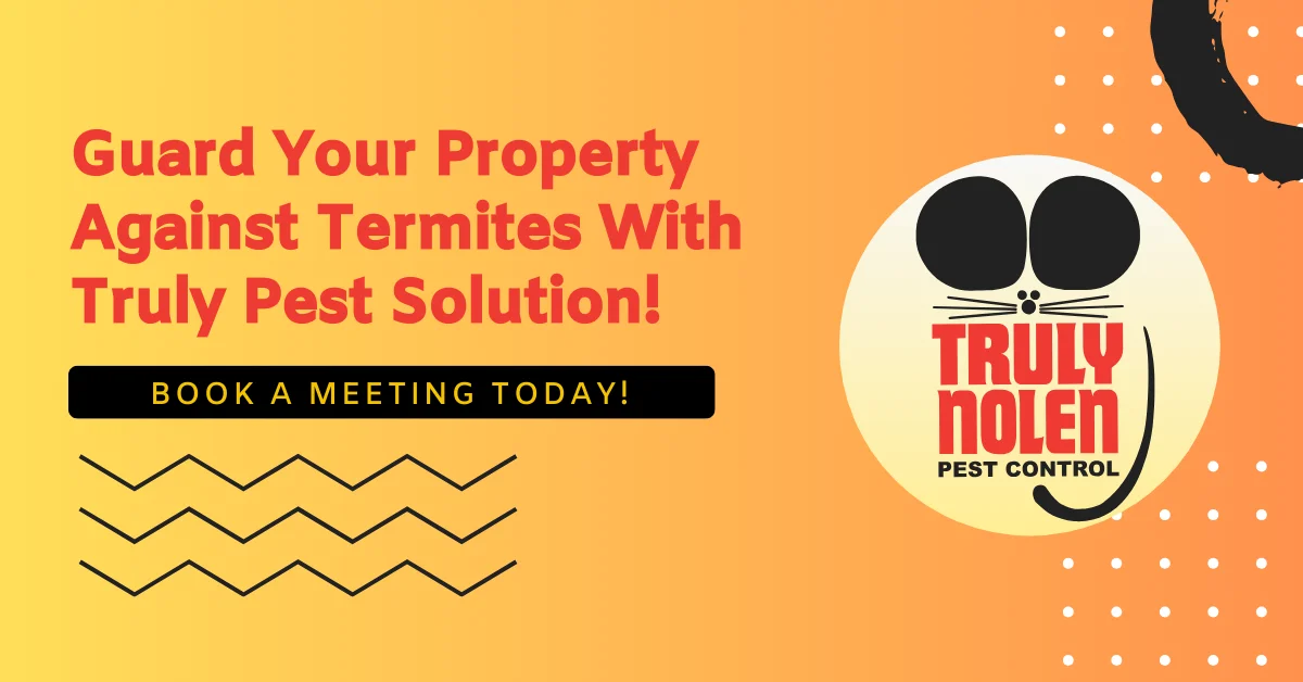 Guard Your Property Against Termites With Truly Pest Solution!