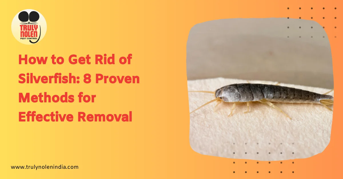 How To Get Rid of Silverfish: 8 Proven Methods for Effective Removal
