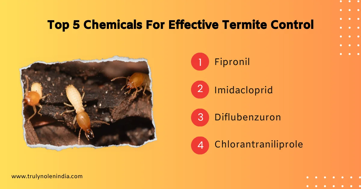 Top 5 Chemicals For Effective Termite Control (2)