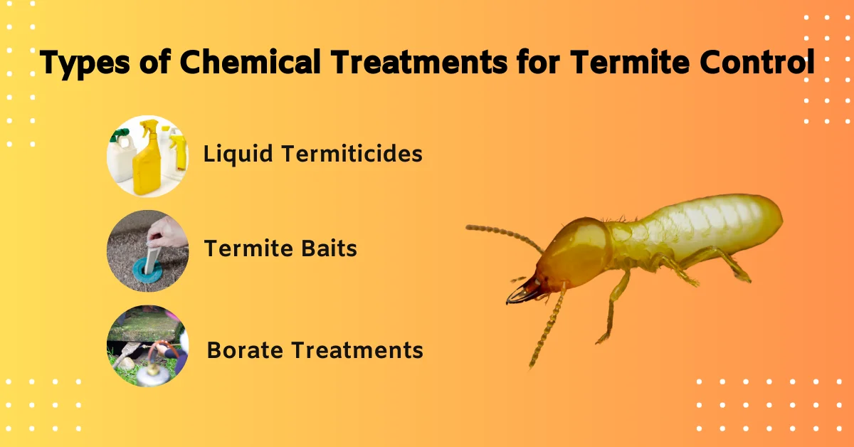 Types of Chemical Treatments for Termite Control