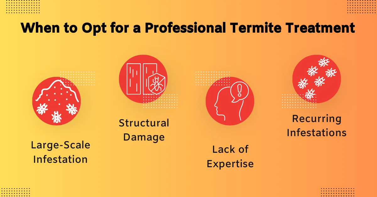 When To Opt For A Professional Termite Treatment