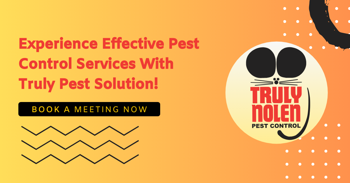 Experience Effective Pest Control Services With Truly Pest Solution! (1) (1)