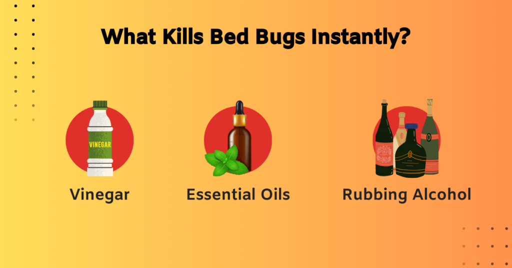 What Kills Bed Bugs Instantly Effective Solutions Truly Blog