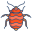 video-with-shape_icon
