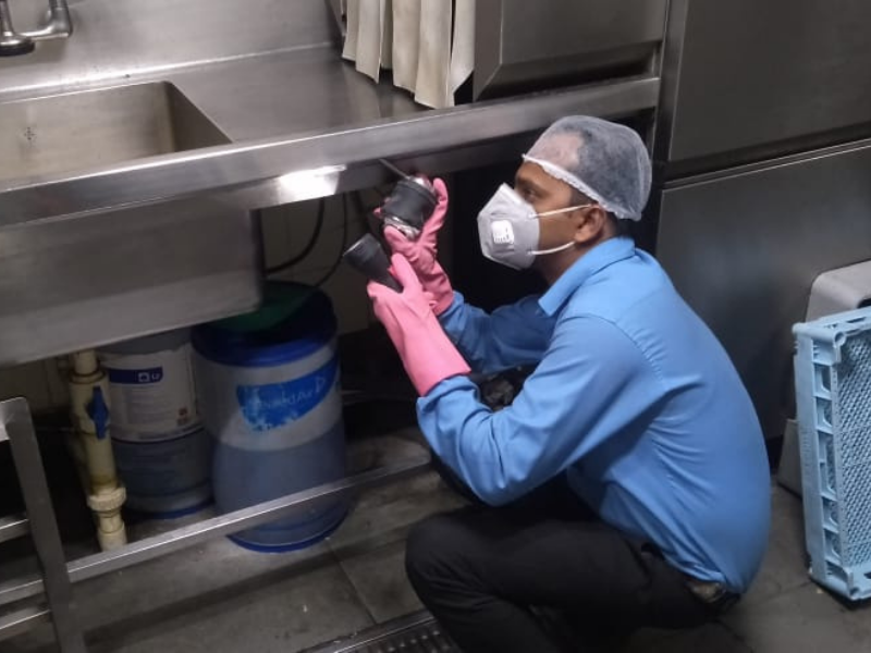 Truly Pest Solution Pvt. Ltd.